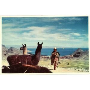 Condado Lagoon" On" San Juan, Puerto Rico Postcard